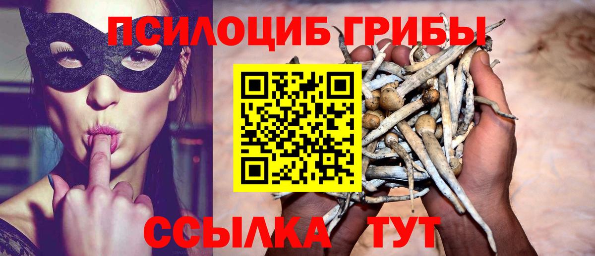 Псилоцибиновые грибы GOLDEN TEACHER Кубинка